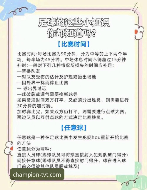 TVT体育官网实用指南：从下载到观赛的全流程经验分享