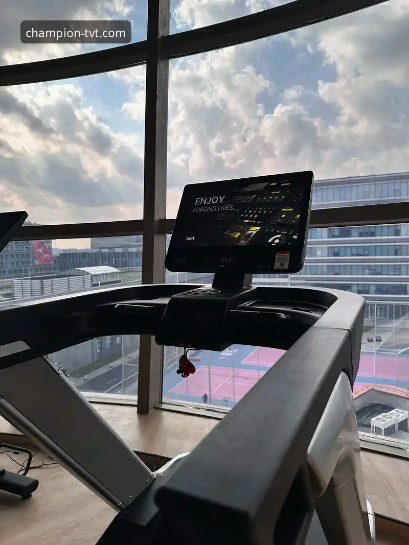tvt体育用户指南全面对比：新手与老手的选择差异在哪里？