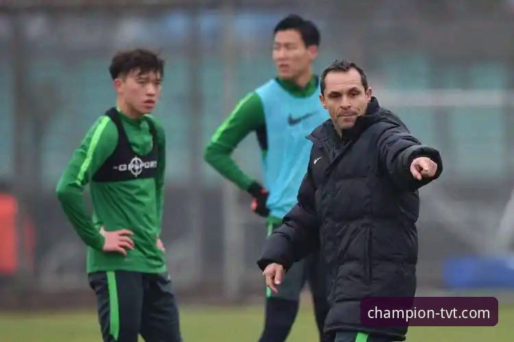 从“金元足球”到法律审判：剖析商业体育风险的实用指南