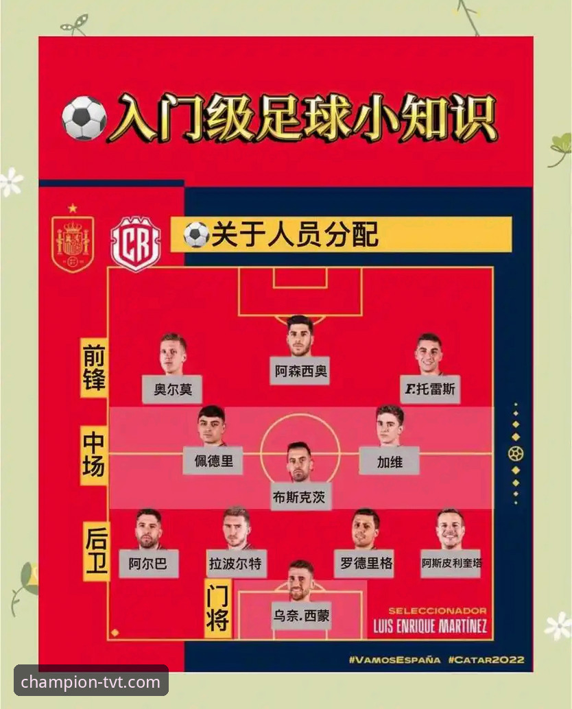 tvt体育网页版 tvt体育网页版新手必看实用指南:从下载到观赛的全程操作技巧